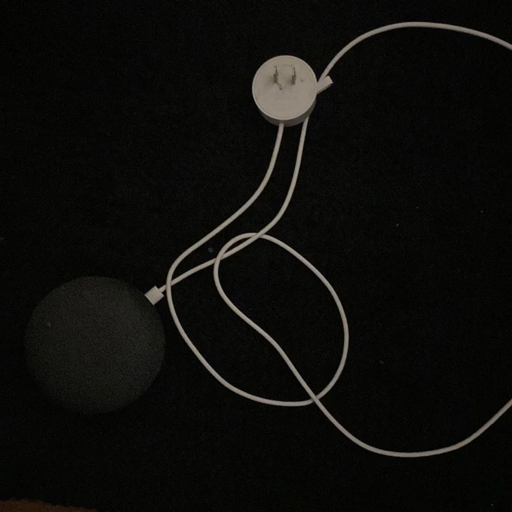 Google home mini